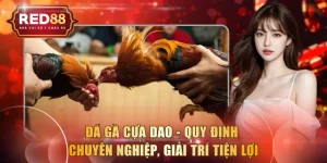 Đá Gà Cựa Dao