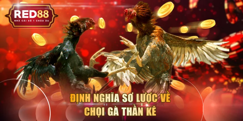 Định nghĩa sơ lược về chọi gà thần kê 